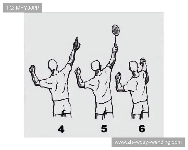 羽毛球球速知识